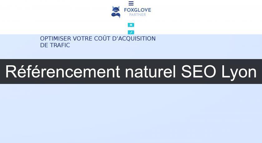 Référencement naturel SEO Lyon Référencement naturel SEO Lyon