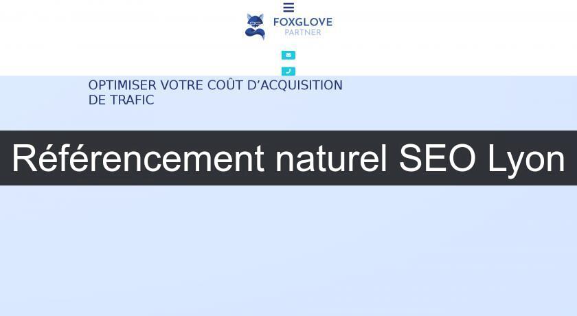 Référencement naturel SEO Lyon