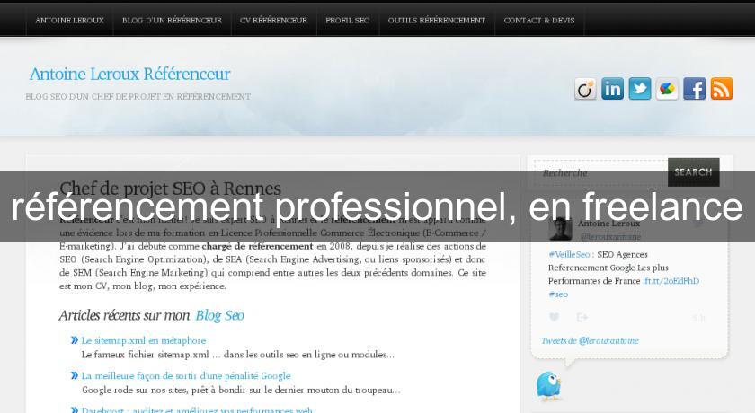 référencement professionnel, en freelance