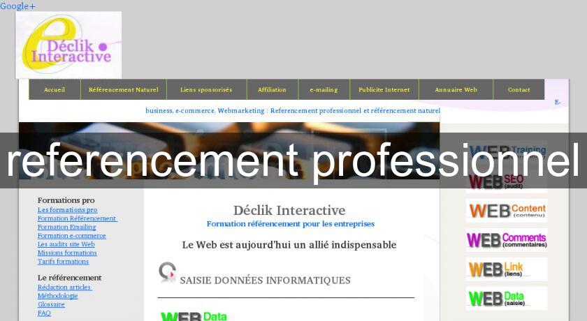 referencement professionnel