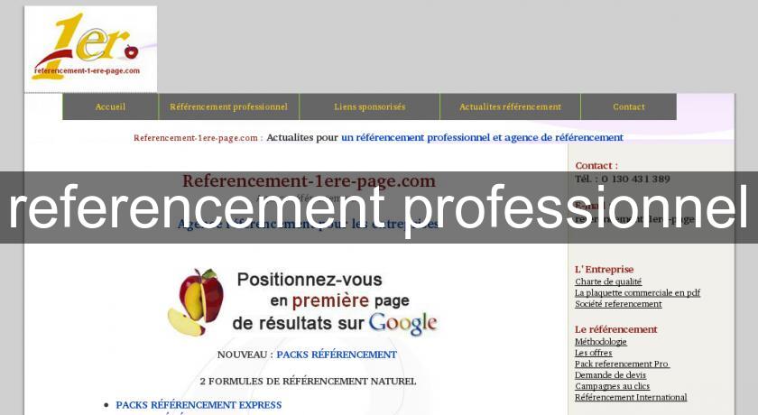 referencement professionnel referencement professionnel