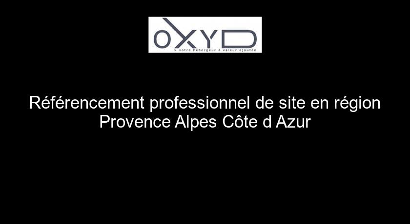 Référencement professionnel de site en région Provence Alpes Côte d'Azur