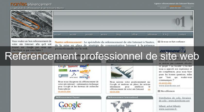 Referencement professionnel de site web Referencement professionnel de site web