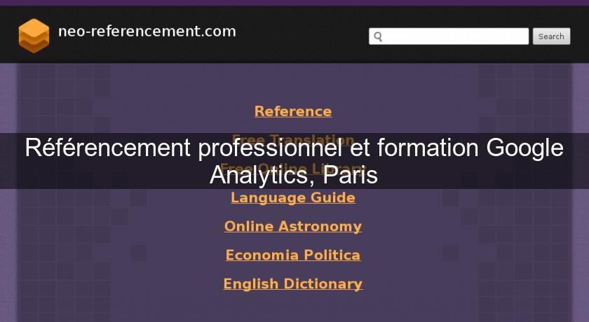 Référencement professionnel et formation Google Analytics, Paris
