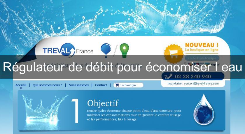 Régulateur de débit pour économiser l'eau Régulateur de débit pour économiser l'eau