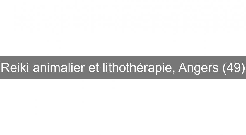 Reiki animalier et lithothérapie, Angers (49)