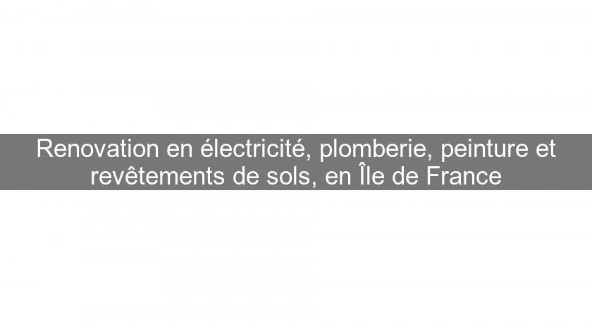 Renovation en électricité, plomberie, peinture et revêtements de sols, en Île de France