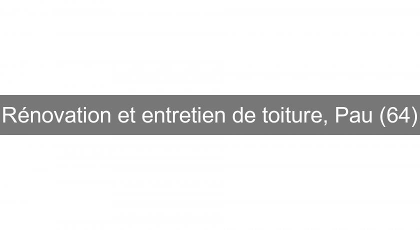 Rénovation et entretien de toiture, Pau (64)