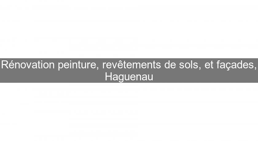 Rénovation peinture, revêtements de sols, et façades, Haguenau