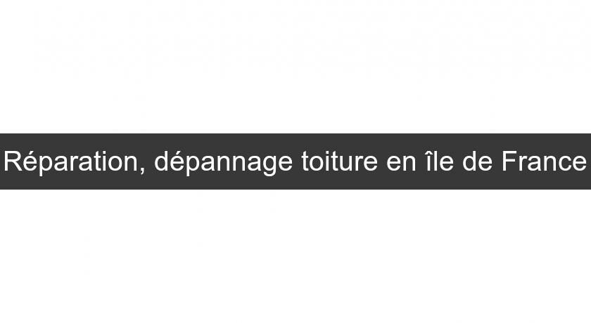 Réparation, dépannage toiture en île de France Réparation, dépannage toiture en île de France