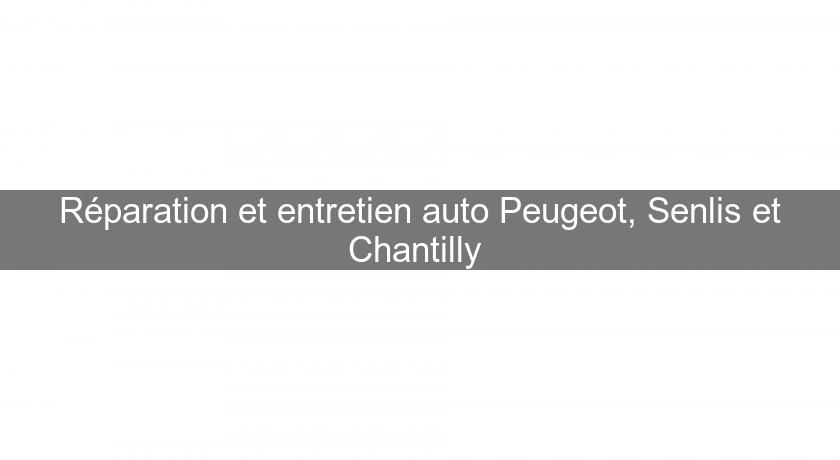 Réparation et entretien auto Peugeot, Senlis et Chantilly Réparation et entretien auto Peugeot, Senlis et Chantilly