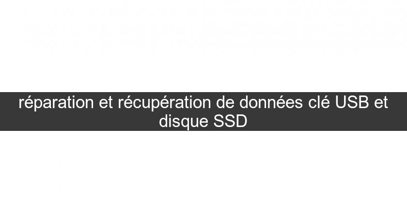 réparation et récupération de données clé USB et disque SSD réparation et récupération de données clé USB et disque SSD