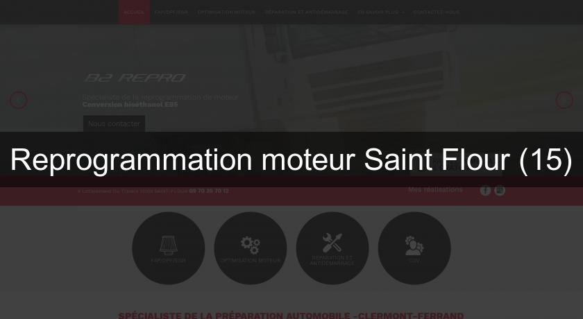 Reprogrammation moteur Saint Flour (15)