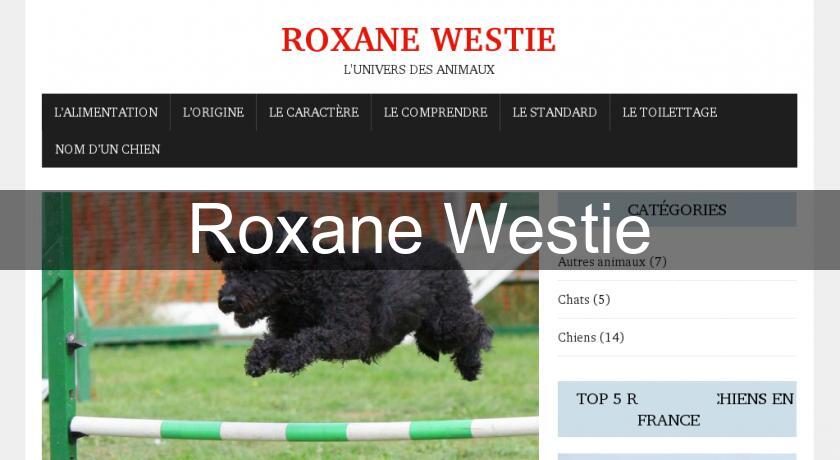 Roxane Westie Roxane Westie
