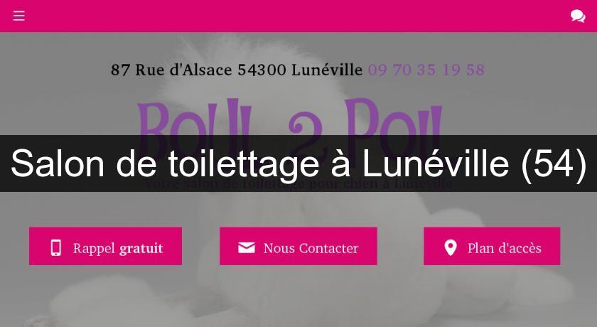 Salon de toilettage à Lunéville (54)