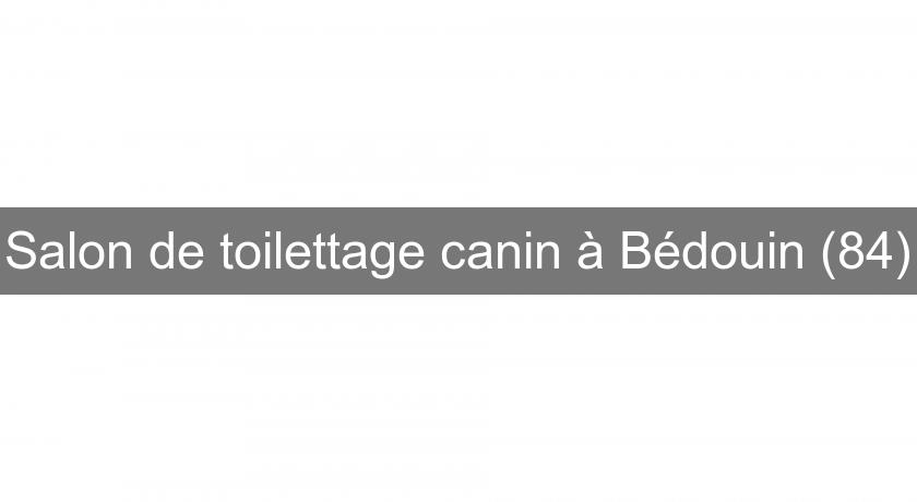 Salon de toilettage canin à Bédouin (84)