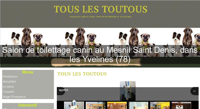Salon de toilettage canin au Mesnil Saint Denis, dans les Yvelines (78) Salon de toilettage canin au Mesnil Saint Denis, dans les Yvelines (78)