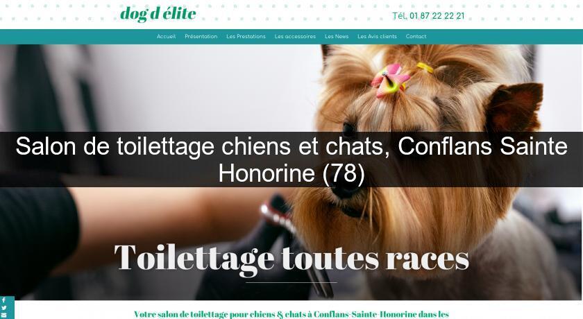 Salon De Toilettage Chiens Et Chats Conflans Sainte