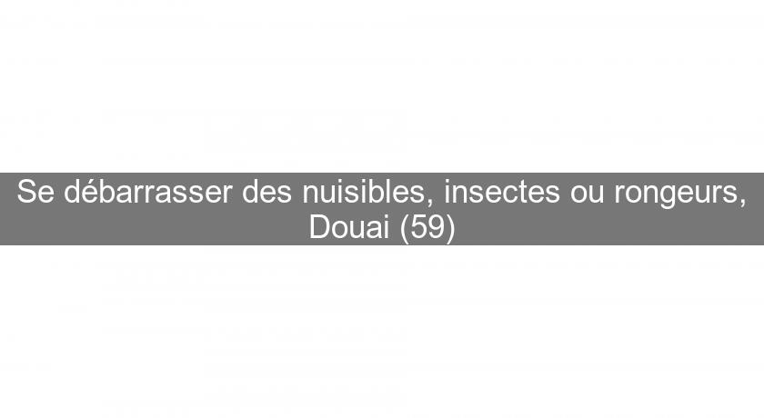 Se débarrasser des nuisibles, insectes ou rongeurs, Douai (59)