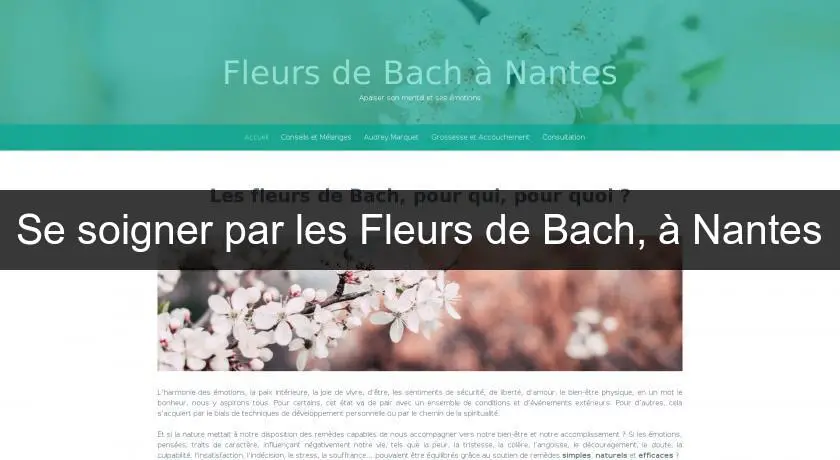 Se soigner par les Fleurs de Bach, à Nantes