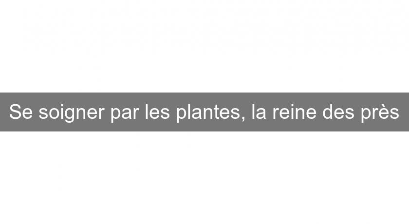 Se soigner par les plantes, la reine des près Se soigner par les plantes, la reine des près