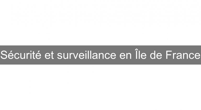 Sécurité et surveillance en Île de France