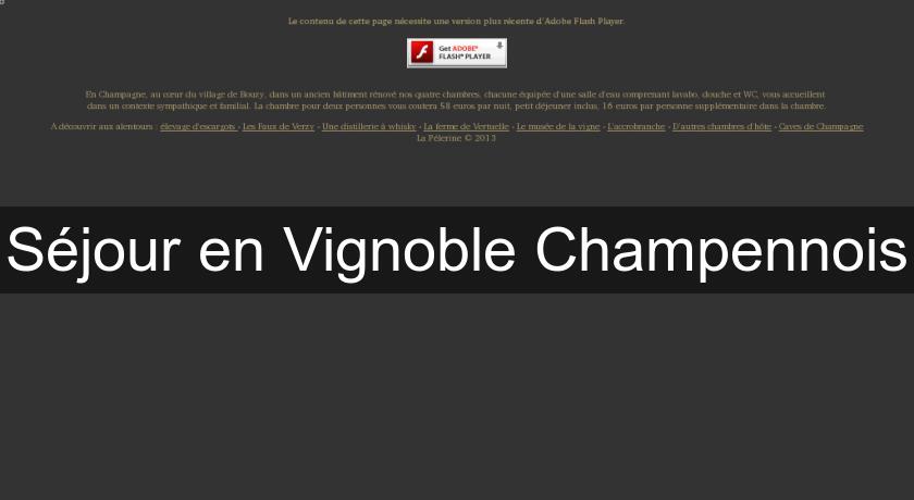 Séjour en Vignoble Champennois Séjour en Vignoble Champennois