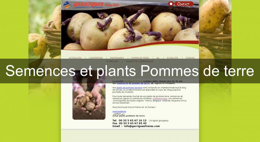 Semences et plants Pommes de terre Semences et plants Pommes de terre