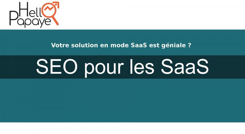 SEO pour les SaaS SEO pour les SaaS