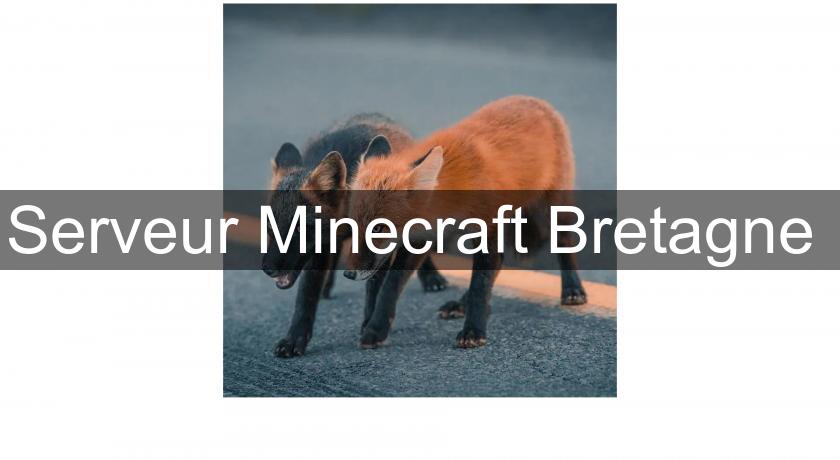 Serveur Minecraft Bretagne Serveur Minecraft Bretagne