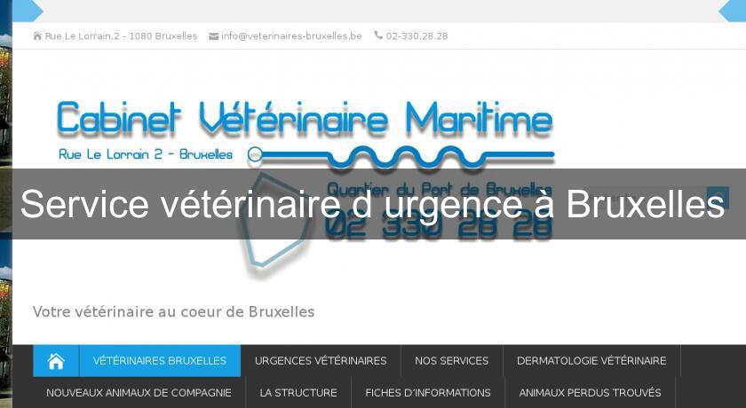 Service vétérinaire d'urgence à Bruxelles