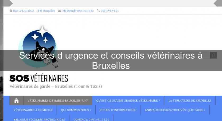 Services d'urgence et conseils vétérinaires à Bruxelles