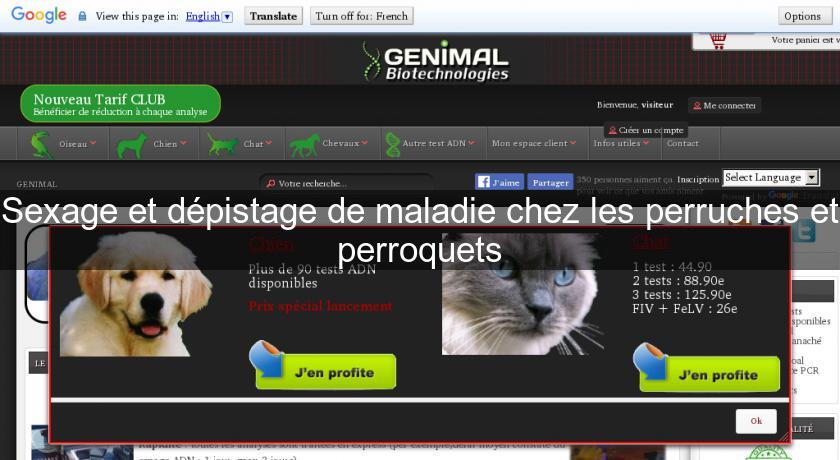 Sexage et dépistage de maladie chez les perruches et perroquets Sexage et dépistage de maladie chez les perruches et perroquets