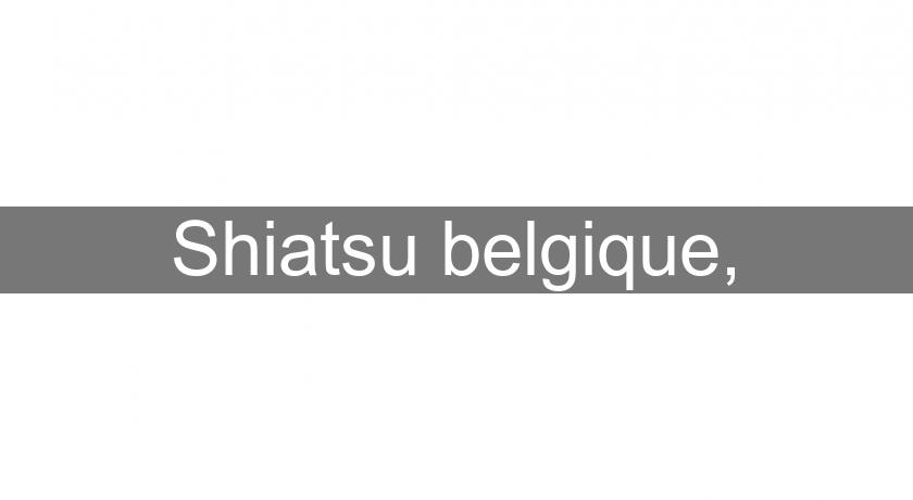 Shiatsu belgique,