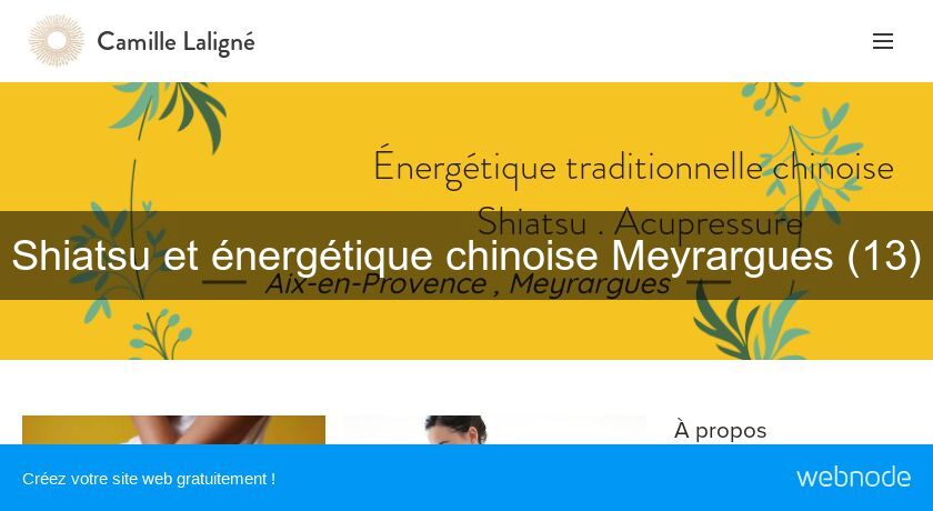 Shiatsu et énergétique chinoise Meyrargues (13)