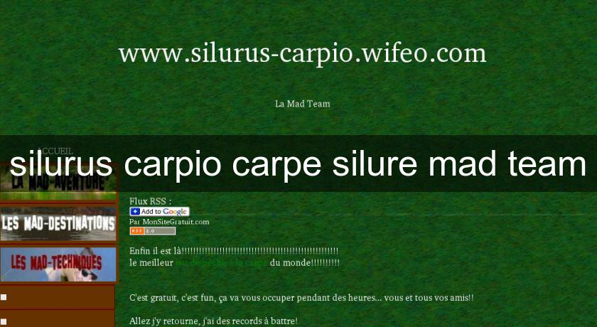 silurus carpio carpe silure mad team silurus carpio carpe silure mad team