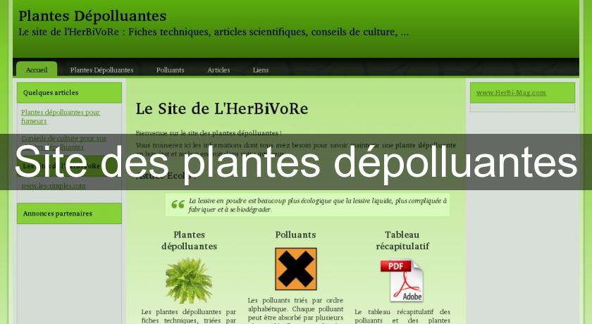 Site des plantes dépolluantes Site des plantes dépolluantes