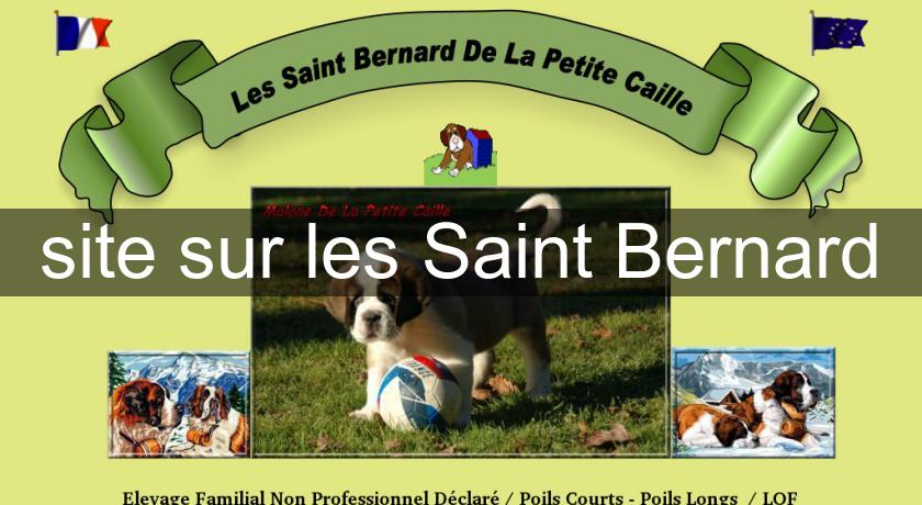 site sur les Saint Bernard site sur les Saint Bernard
