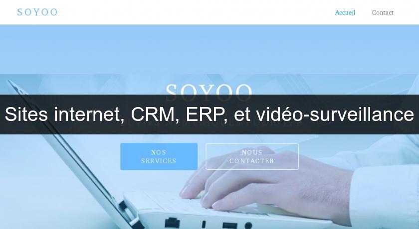 Sites internet, CRM, ERP, et vidéo-surveillance