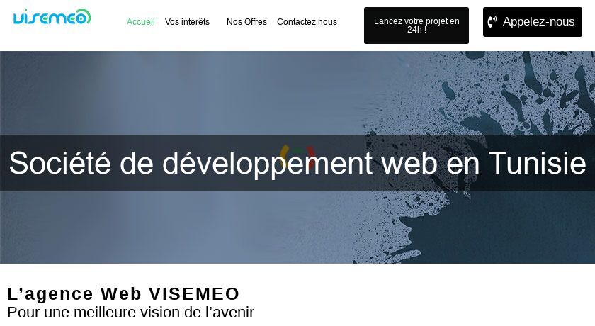 Société de développement web en Tunisie Société de développement web en Tunisie