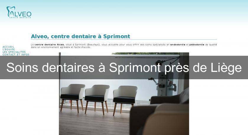 Soins dentaires à Sprimont près de Liège