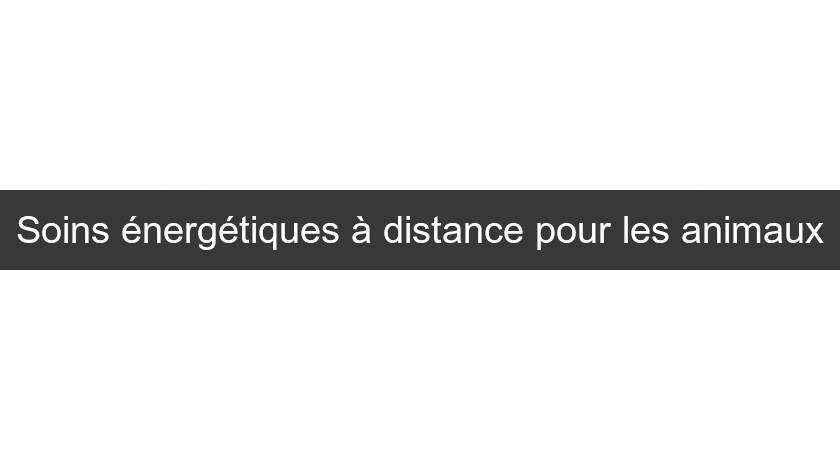 Soins énergétiques à distance pour les animaux