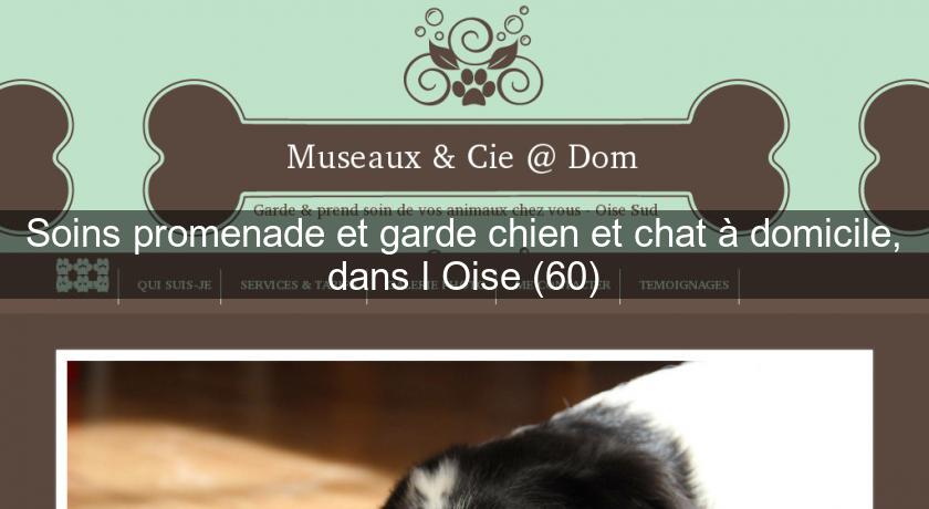 Soins promenade et garde chien et chat à domicile, dans l'Oise (60)