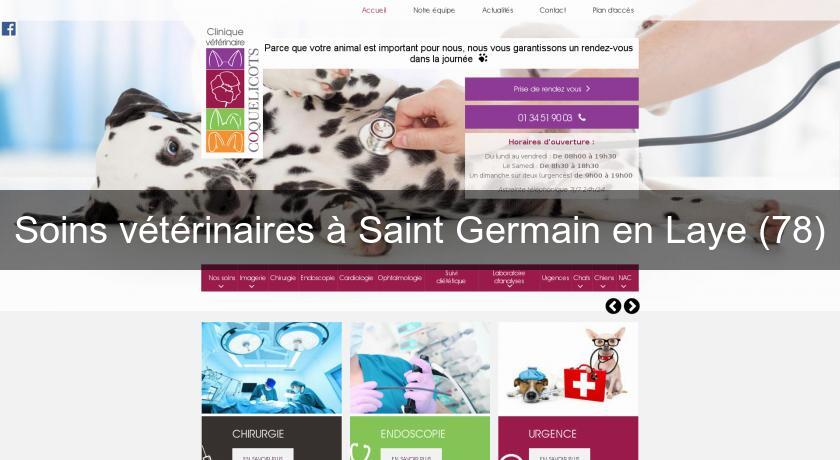 Soins vétérinaires à Saint Germain en Laye (78)