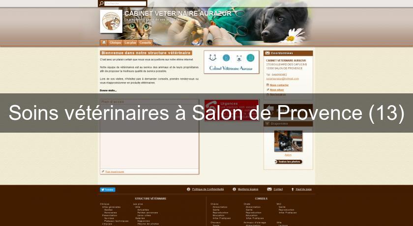 Soins vétérinaires à Salon de Provence (13) Soins vétérinaires à Salon de Provence (13)