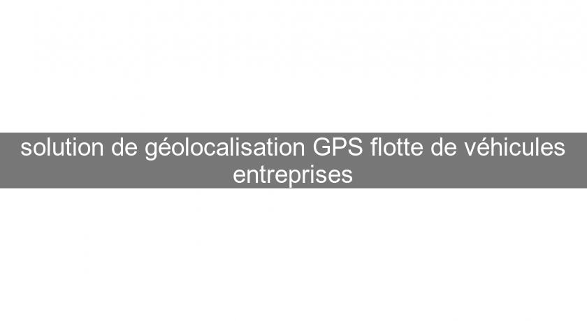 solution de géolocalisation GPS flotte de véhicules entreprises