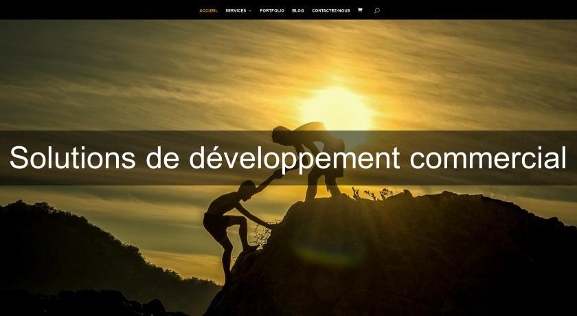 Solutions de développement commercial