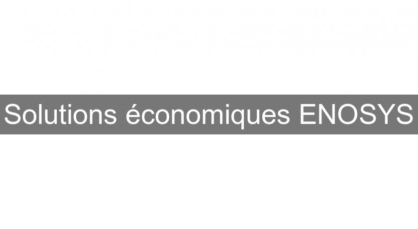 Solutions économiques ENOSYS Solutions économiques ENOSYS