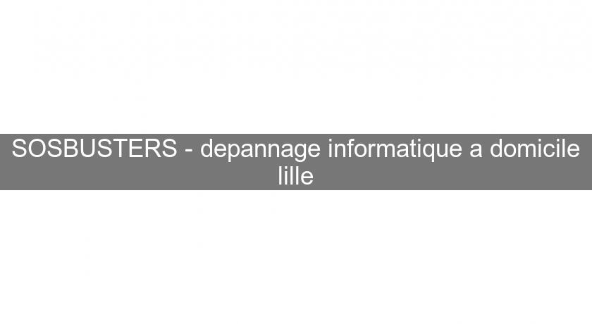 SOSBUSTERS - depannage informatique a domicile lille SOSBUSTERS - depannage informatique a domicile lille