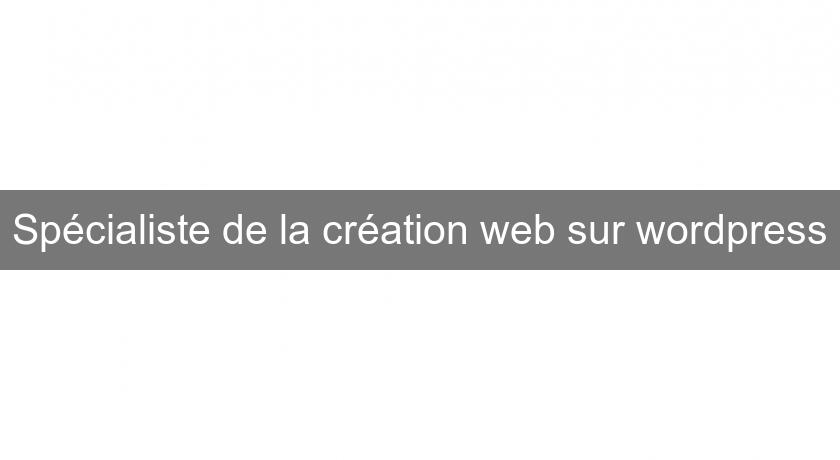 Spécialiste de la création web sur wordpress